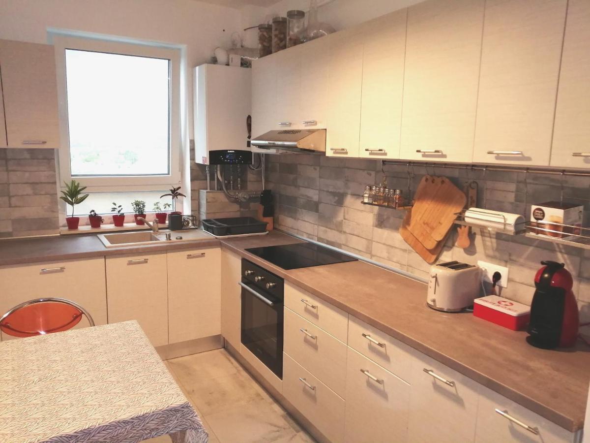 Maurer Loft Appartamento Târgu-Mureş Esterno foto