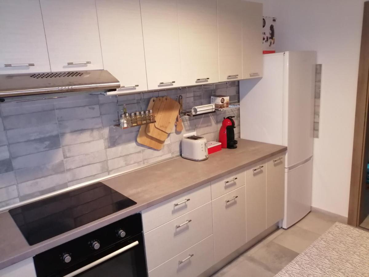 Maurer Loft Appartamento Târgu-Mureş Esterno foto