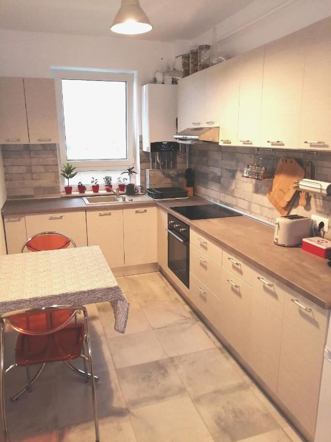 Maurer Loft Appartamento Târgu-Mureş Esterno foto