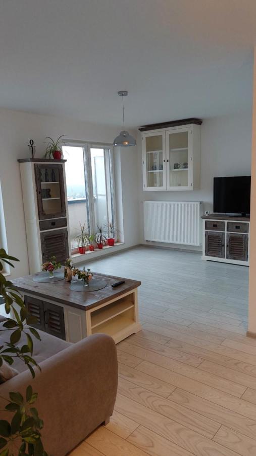 Maurer Loft Appartamento Târgu-Mureş Esterno foto